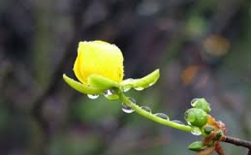 Sống trong cuộc đời đừng dính đến quyền lợi